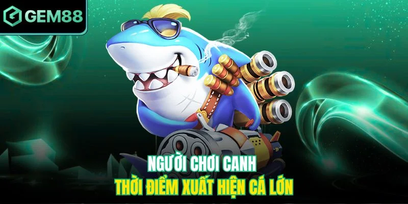 Người chơi canh thời điểm xuất hiện cá lớn